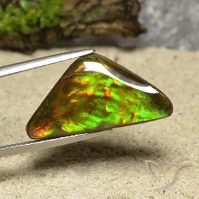 Ammolite Multicolore naturale da 12.19 ct, Taglio trillion, Opaco