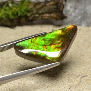 Ammolite Multicolore naturale da 12.19 ct, Taglio trillion, Opaco