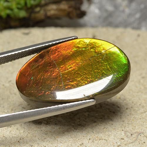 Ammolite Multicolore naturale da 20.87 ct, Taglio a fantasia, Opaco