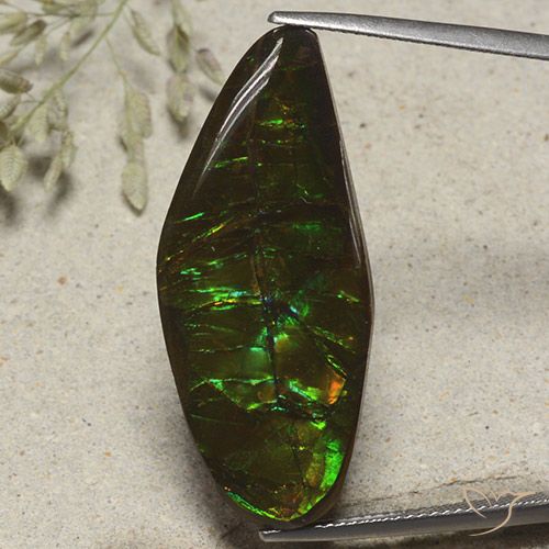 19.53ct Naturale Multicolore Ammolite, Taglio a fantasia, Opaco