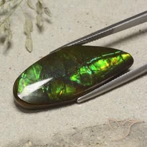Ammolite Multicolore naturale da 19.53 ct, Taglio a fantasia, Opaco