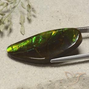Ammolite Multicolore naturale da 19.53 ct, Taglio a fantasia, Opaco