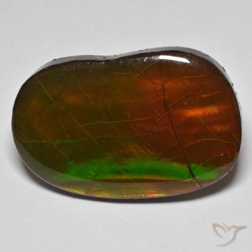 22.58ct Naturale Multicolore Ammolite, Taglio a fantasia, Opaco