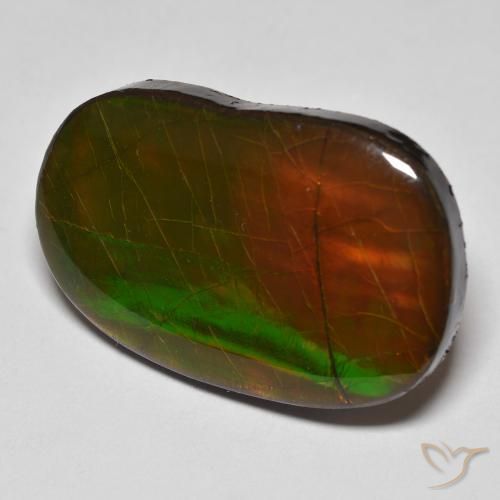 Ammolite Multicolore naturale da 22.58 ct, Taglio a fantasia, Opaco