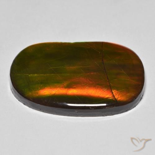 Ammolite Multicolore naturale da 22.58 ct, Taglio a fantasia, Opaco