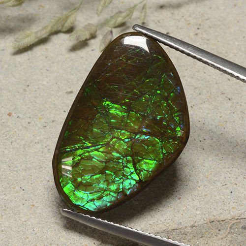 17.38ct Naturale Multicolore Ammolite, Taglio a fantasia, Opaco