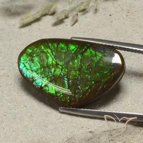 Ammolite Multicolore naturale da 17.38 ct, Taglio a fantasia, Opaco