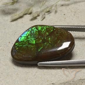 Ammolite Multicolore naturale da 17.38 ct, Taglio a fantasia, Opaco