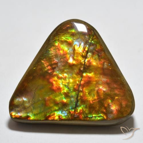 16.58ct Naturale Multicolore Ammolite, Taglio trillion, Opaco