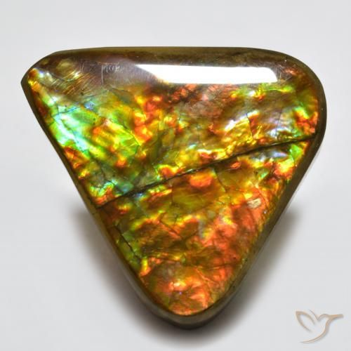 Ammolite Multicolore naturale da 16.58 ct, Taglio trillion, Opaco