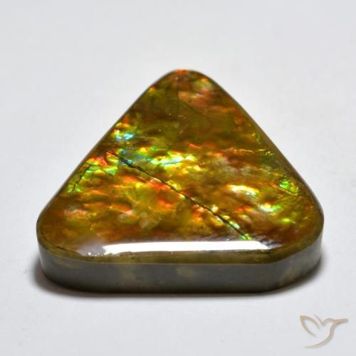 Ammolite Multicolore naturale da 16.58 ct, Taglio trillion, Opaco