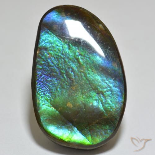 23.81ct Naturale Multicolore Ammolite, Taglio a fantasia, Opaco