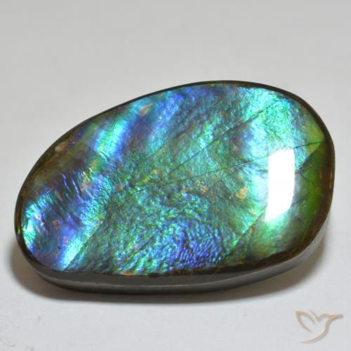 Ammolite Multicolore naturale da 23.81 ct, Taglio a fantasia, Opaco