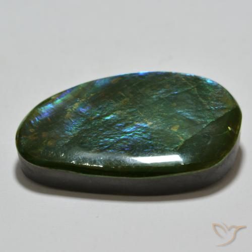 Ammolite Multicolore naturale da 23.81 ct, Taglio a fantasia, Opaco