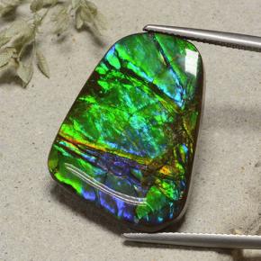 Ammolite Multicolore naturale da 23.18 ct, Forma fantasia, Opaco