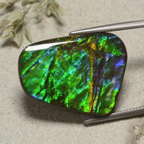 Ammolite Multicolore naturale da 23.18 ct, Forma fantasia, Opaco