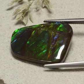 Ammolite Multicolore naturale da 23.18 ct, Forma fantasia, Opaco