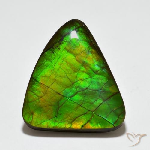 20.44ct Naturale Multicolore Ammolite, Taglio a fantasia, Opaco