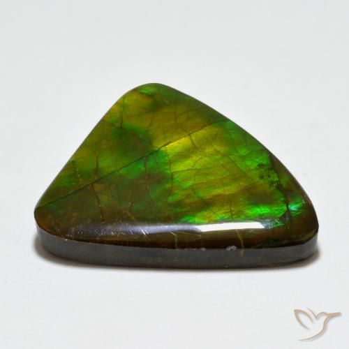 Ammolite Multicolore naturale da 20.44 ct, Taglio a fantasia, Opaco