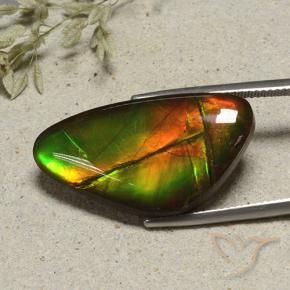Ammolite Multicolore naturale da 17.24 ct, Taglio a fantasia, Opaco
