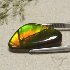Ammolite Multicolore naturale da 17.24 ct, Taglio a fantasia, Opaco