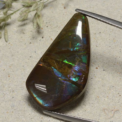 15.41ct Naturale Multicolore Ammolite, Taglio a fantasia, Opaco
