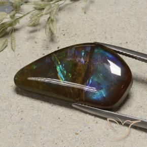 Ammolite Multicolore naturale da 15.41 ct, Taglio a fantasia, Opaco