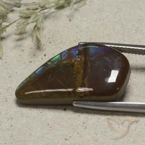 Ammolite Multicolore naturale da 15.41 ct, Taglio a fantasia, Opaco
