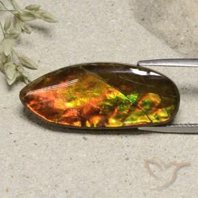 Ammolite Multicolore naturale da 15.74 ct, Taglio a fantasia, Opaco