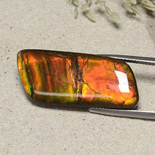 Ammolite Multicolore naturale da 18.82 ct, Forma fantasia, Opaco