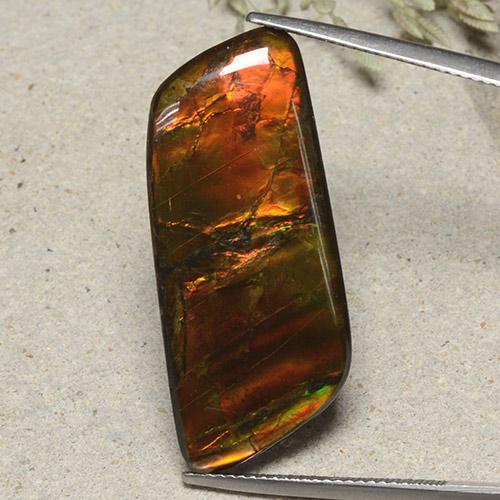 Ammolite Multicolore naturale da 18.82 ct, Forma fantasia, Opaco