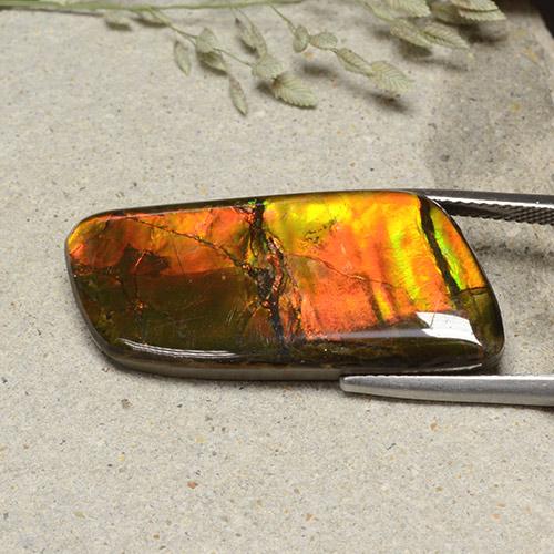 Ammolite Multicolore naturale da 18.82 ct, Forma fantasia, Opaco