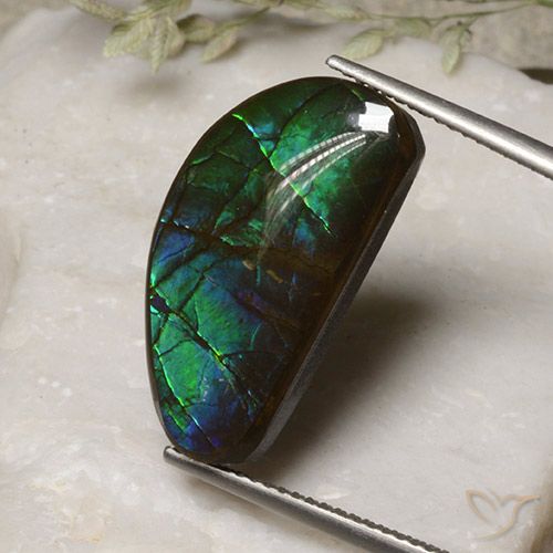 13.17ct Naturale Multicolore Ammolite, Taglio a fantasia, Opaco