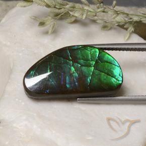 Ammolite Multicolore naturale da 13.17 ct, Taglio a fantasia, Opaco