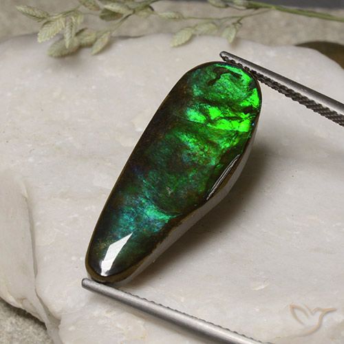 11.06ct Naturale Multicolore Ammolite, Taglio a fantasia, Opaco
