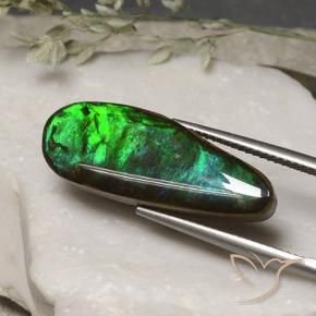 Ammolite Multicolore naturale da 11.06 ct, Taglio a fantasia, Opaco