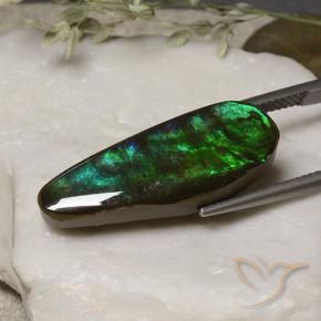 Ammolite Multicolore naturale da 11.06 ct, Taglio a fantasia, Opaco