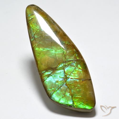 24.80ct Naturale Multicolore Ammolite, Taglio a fantasia, Opaco