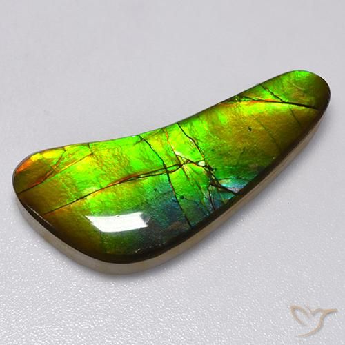 13.02ct Naturale Multicolore Ammolite, Taglio a fantasia, Opaco