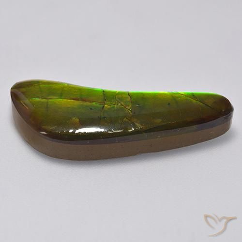 Ammolite Multicolore naturale da 13.02 ct, Taglio a fantasia, Opaco