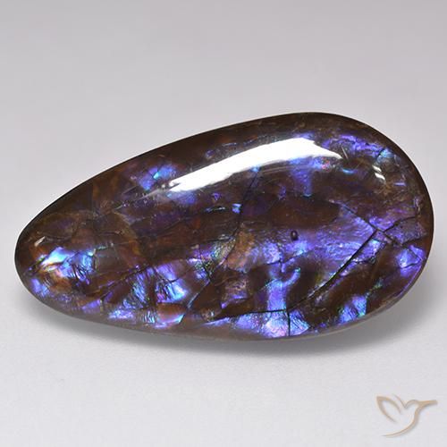 Ammolite naturale multicolore da 20,69 ct, taglio a pera, opaco
