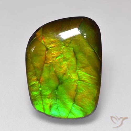 11.49ct Naturale Multicolore Ammolite, Taglio a fantasia, Opaco