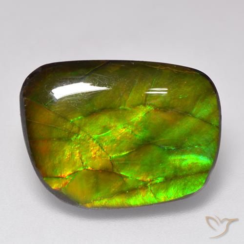 Ammolite Multicolore naturale da 11.49 ct, Taglio a fantasia, Opaco