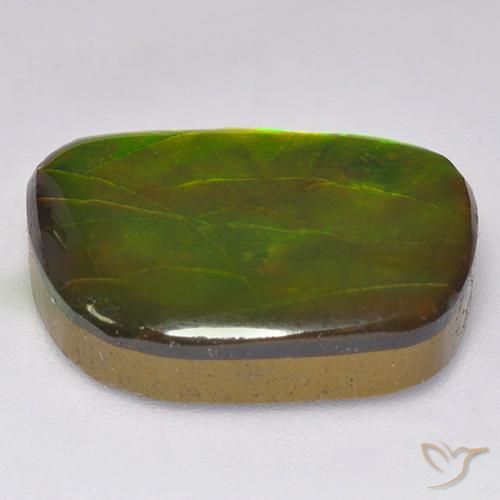 Ammolite Multicolore naturale da 11.49 ct, Taglio a fantasia, Opaco