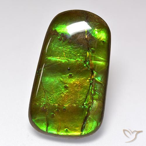 24.17ct Naturale Multicolore Ammolite, Taglio a fantasia, Opaco