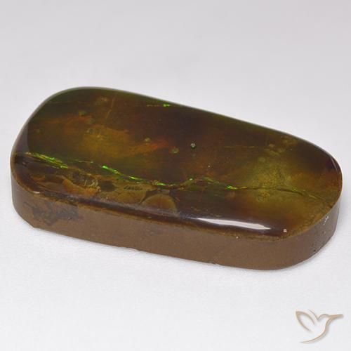 Ammolite Multicolore naturale da 24.17 ct, Taglio a fantasia, Opaco