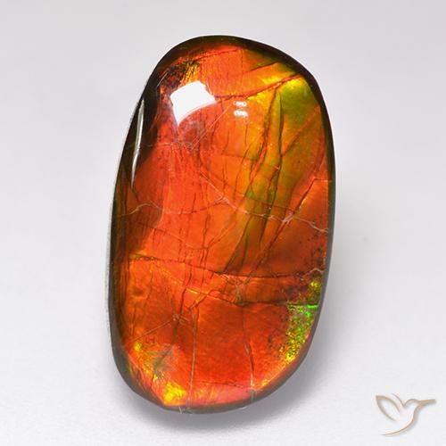11.88ct Naturale Multicolore Ammolite, Taglio a fantasia, Opaco