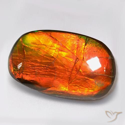 Ammolite Multicolore naturale da 11.88 ct, Taglio a fantasia, Opaco