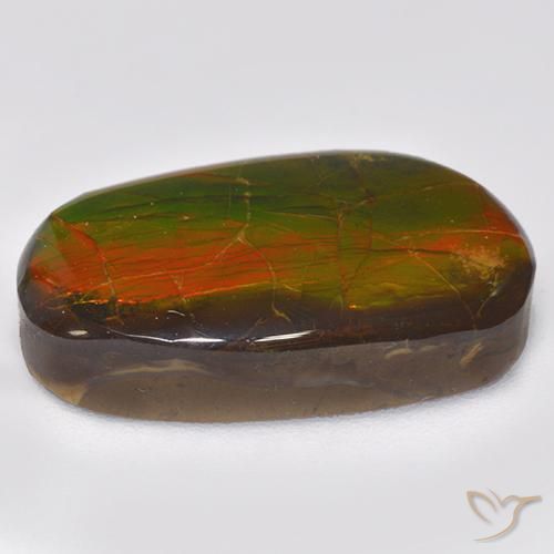 Ammolite Multicolore naturale da 11.88 ct, Taglio a fantasia, Opaco