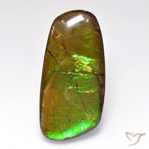 12.44ct Naturale Multicolore Ammolite, Taglio a fantasia, Opaco